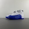 Air Jordan 12 “Blueberry”