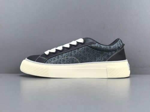 DIOR B33