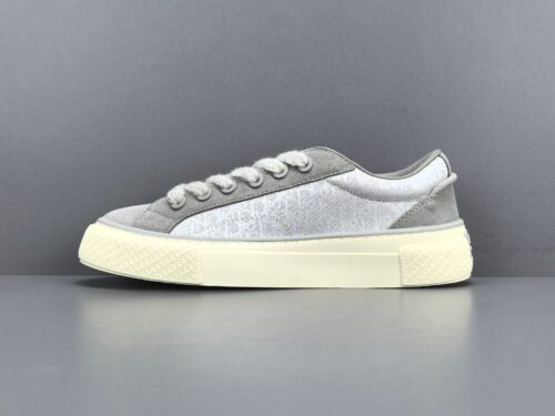 DIOR B33