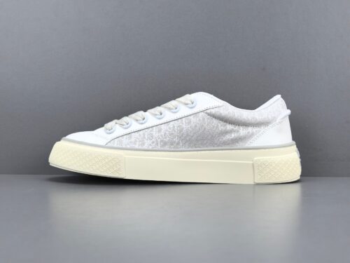 DIOR B33