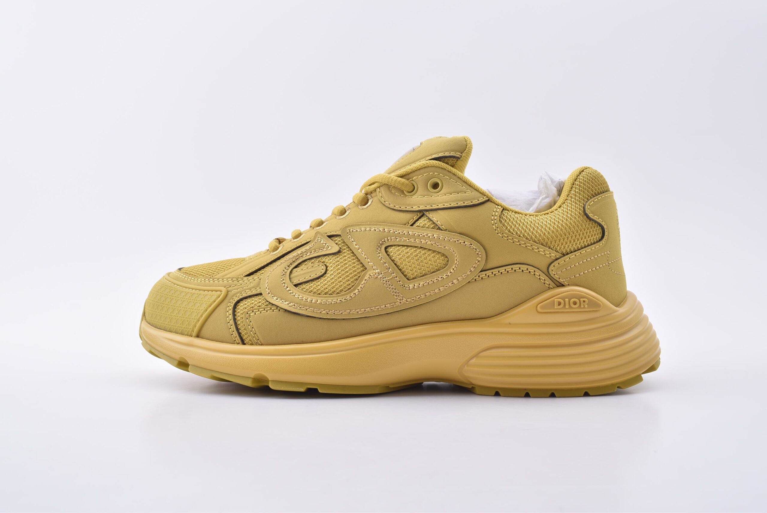 DIOR B30