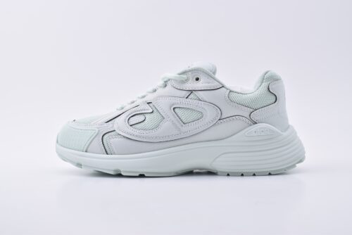 DIOR B30