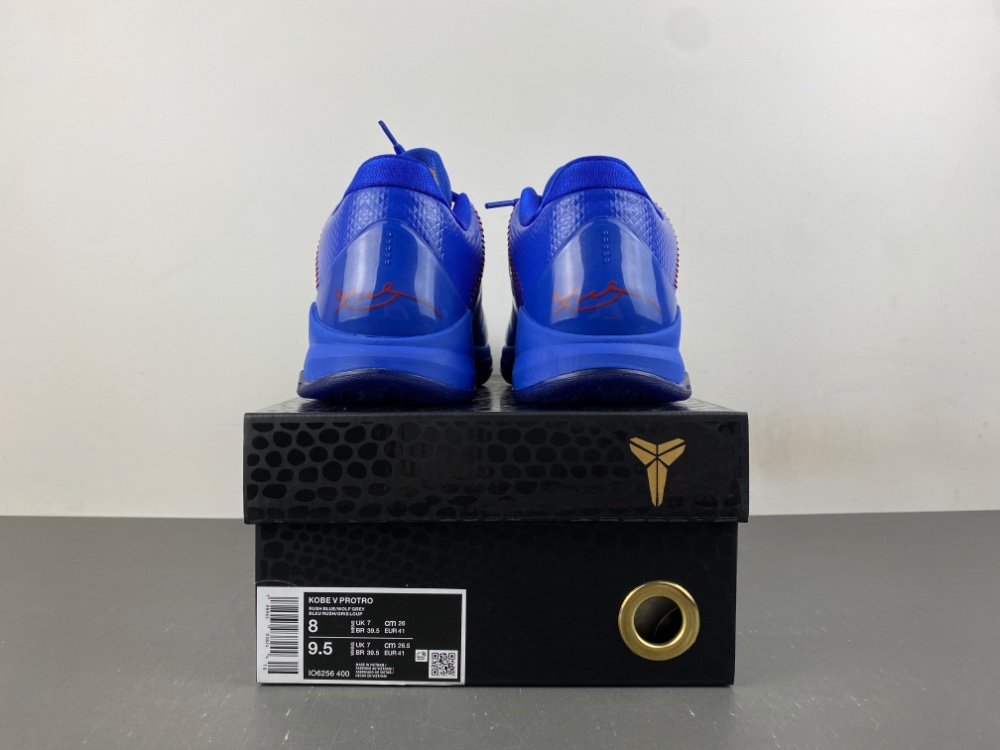 Nike Kobe 5 Protro “Dodgers” - Image 19